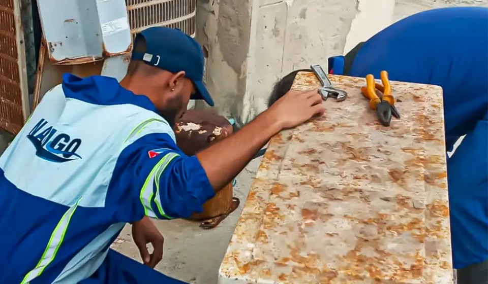 Soporte Técnico Estratégico para la AMC